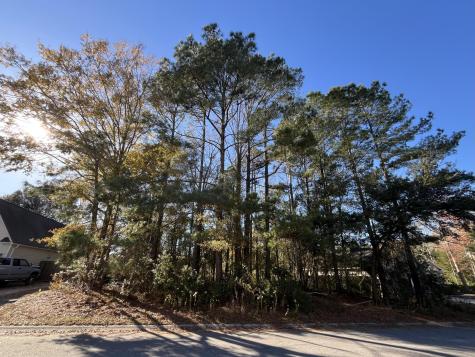 222 Jasmine Drive Summerville SC 29483