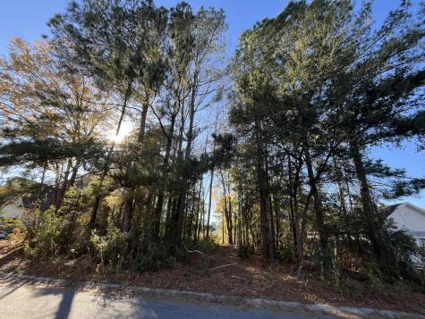 222 Jasmine Drive Summerville SC 29483