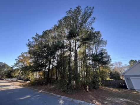 222 Jasmine Drive Summerville SC 29483