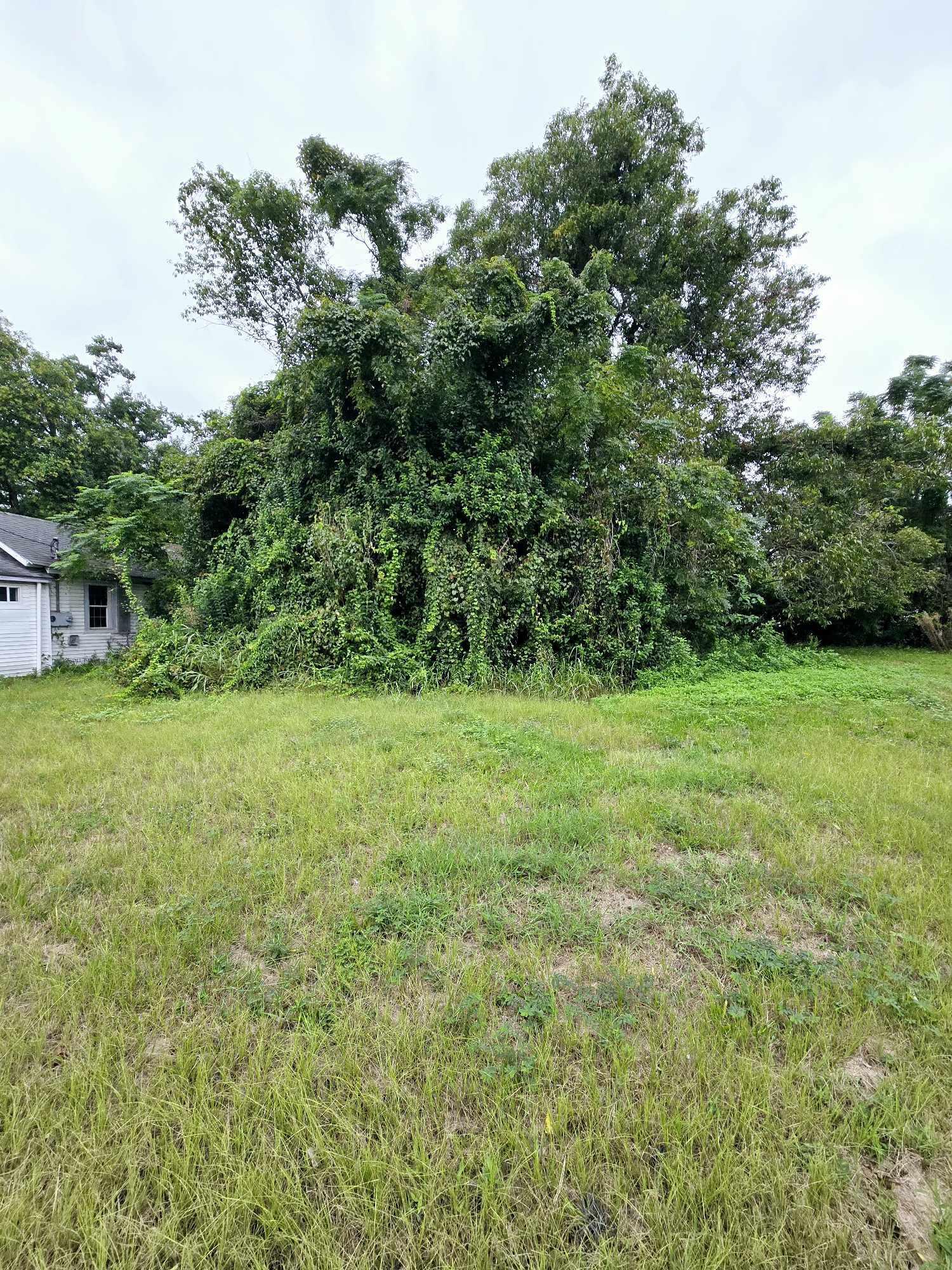 1990 Irving Avenue North Charleston SC 29405