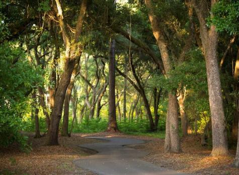 3026 Maritime Forest Drive Johns Island SC 29455