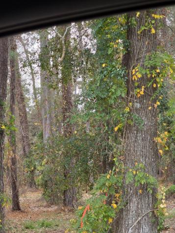 128 Cooper Circle Santee SC 29142