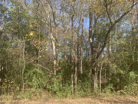 Lot 21 Mary Ellie Drive Summerville SC 29483