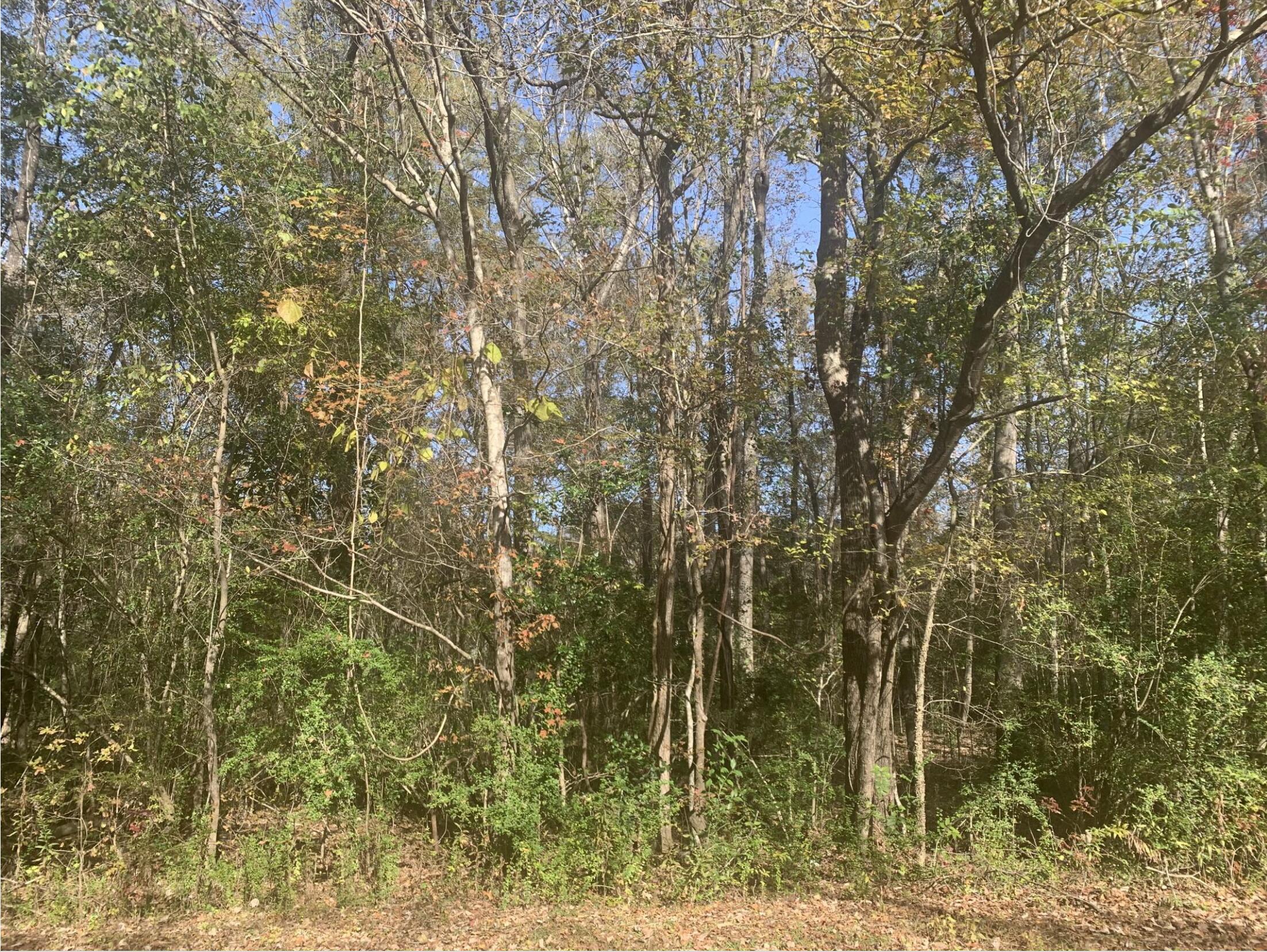 Lot 21 Mary Ellie Drive Summerville SC 29483
