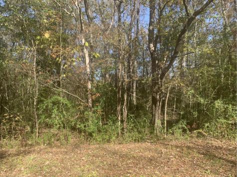 Lot 21 Mary Ellie Drive Summerville SC 29483