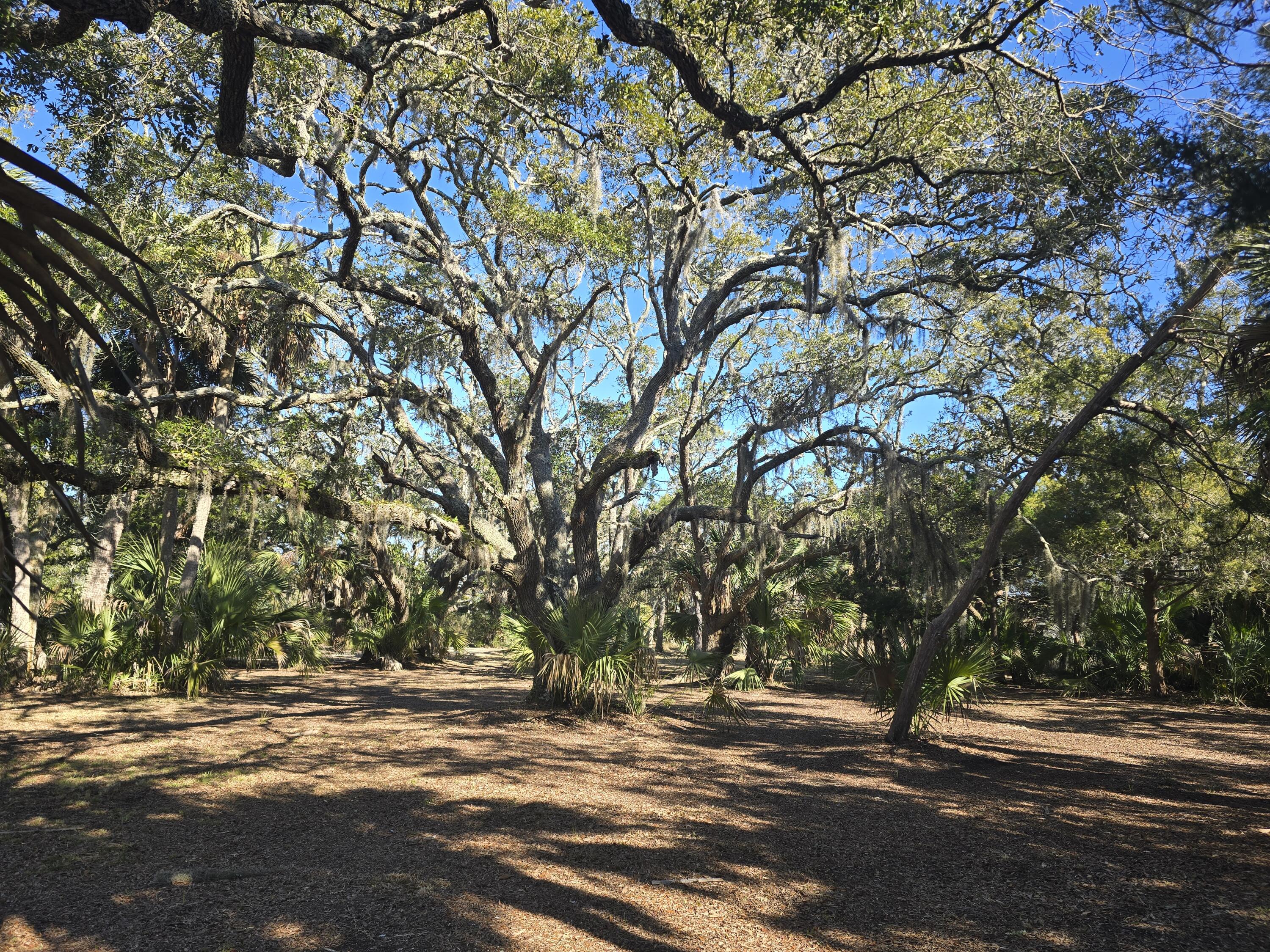 58 Painted Bunting Trail Edisto Island SC 29438