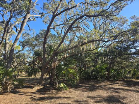 58 Painted Bunting Trail Edisto Island SC 29438