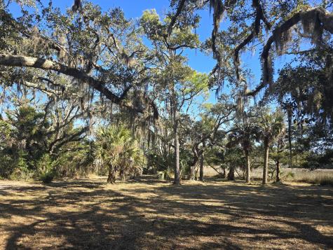 58 Painted Bunting Trail Edisto Island SC 29438