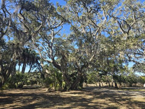 58 Painted Bunting Trail Edisto Island SC 29438