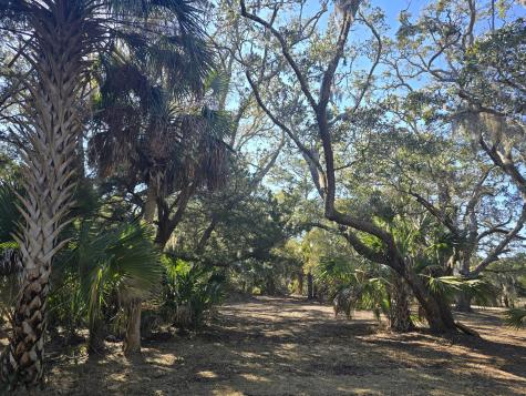 58 Painted Bunting Trail Edisto Island SC 29438