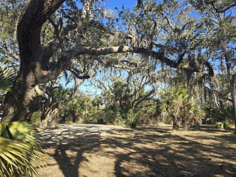 58 Painted Bunting Trail Edisto Island SC 29438