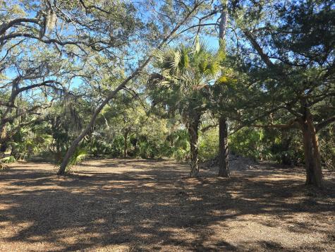 58 Painted Bunting Trail Edisto Island SC 29438