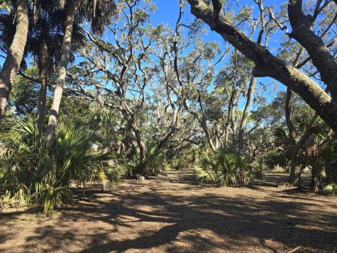 58 Painted Bunting Trail Edisto Island SC 29438