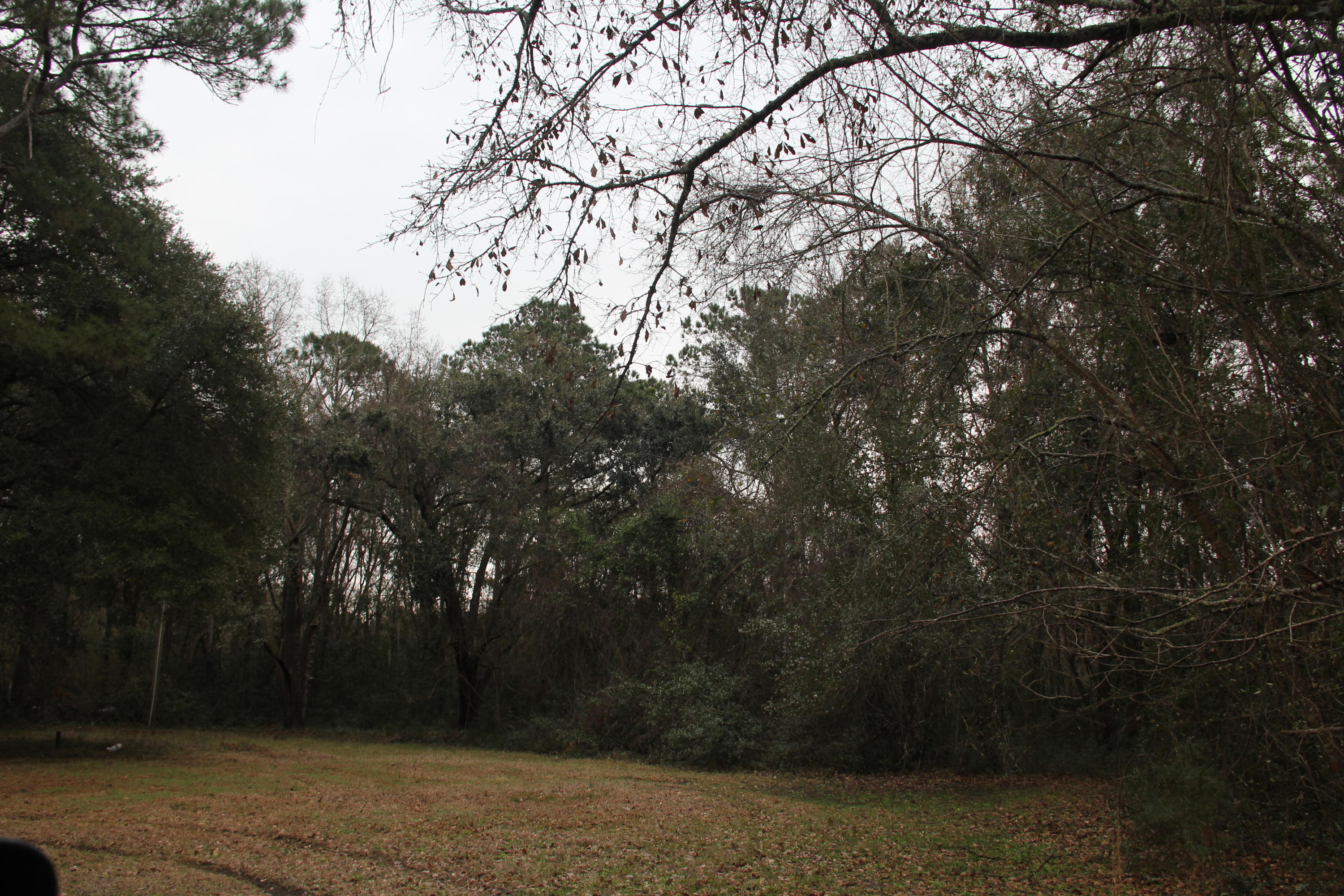 0 Lieben Road Mount Pleasant SC 29466