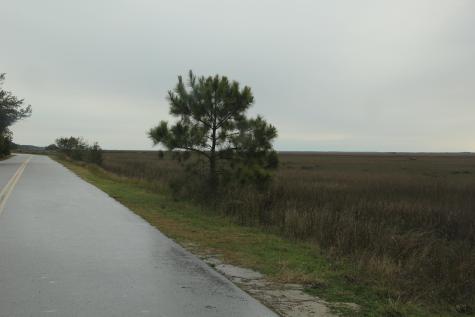 0 Lieben Road Mount Pleasant SC 29466