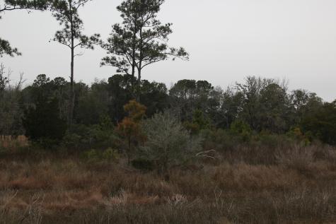 0 Lieben Road Mount Pleasant SC 29466
