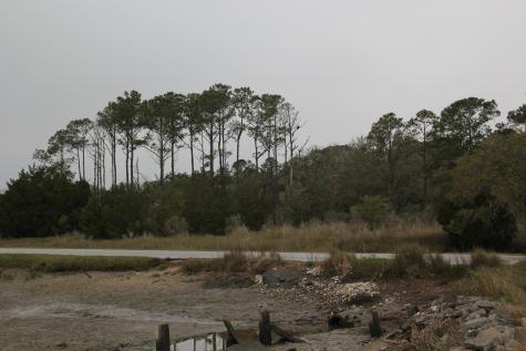 0 Lieben Road Mount Pleasant SC 29466