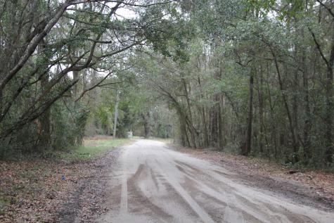0 Lieben Road Mount Pleasant SC 29466