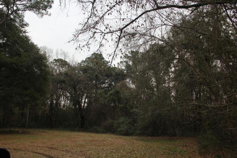 0 Lieben Road Mount Pleasant SC 29466