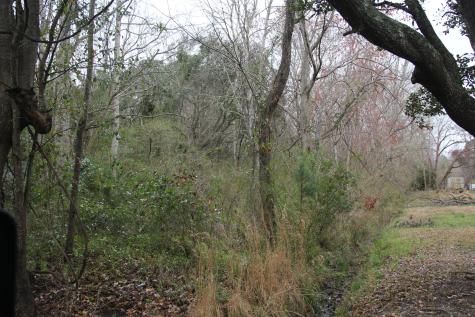 0 Lieben Road Mount Pleasant SC 29466