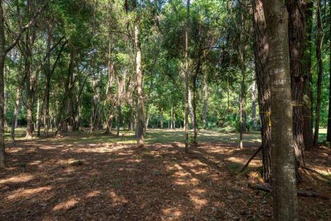 8467 Middleton Point Lane Edisto Island SC 29438