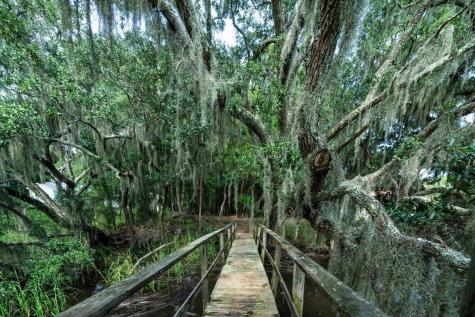 8467 Middleton Point Lane Edisto Island SC 29438