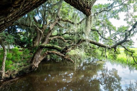 8467 Middleton Point Lane Edisto Island SC 29438