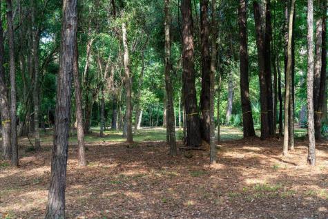 8467 Middleton Point Lane Edisto Island SC 29438