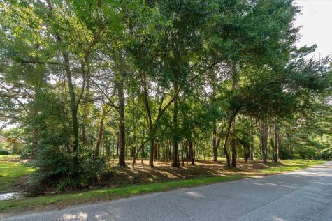 8467 Middleton Point Lane Edisto Island SC 29438