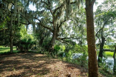 8467 Middleton Point Lane Edisto Island SC 29438