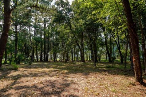 8467 Middleton Point Lane Edisto Island SC 29438