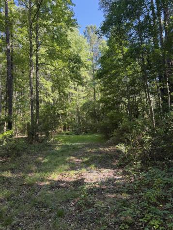 3125 State Road Summerville SC 29483