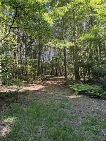 3125 State Road Summerville SC 29483