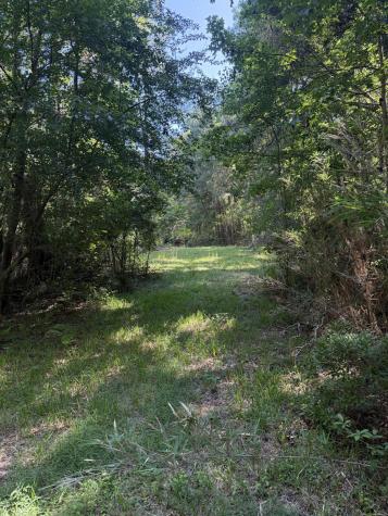 3125 State Road Summerville SC 29483