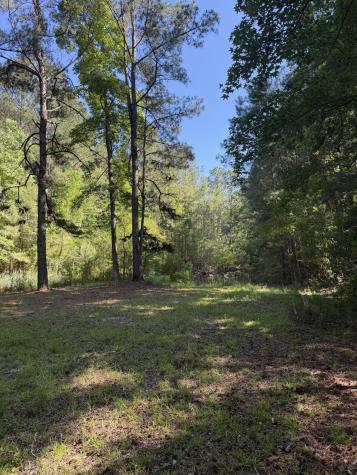 3125 State Road Summerville SC 29483