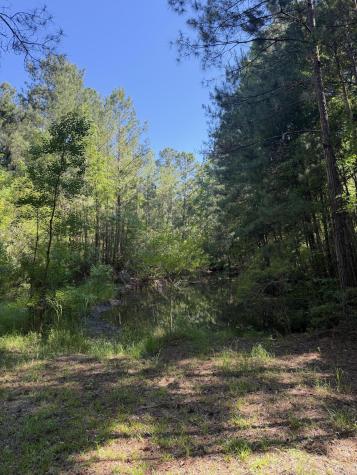 3125 State Road Summerville SC 29483