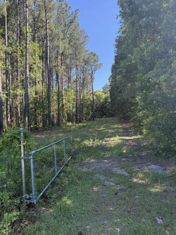 3125 State Road Summerville SC 29483