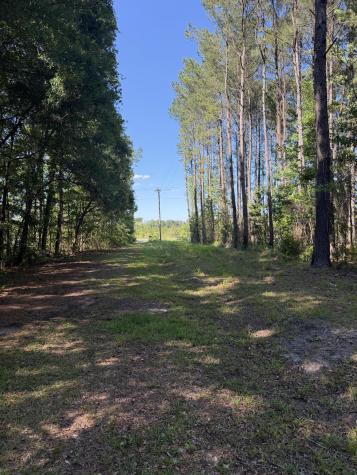 3125 State Road Summerville SC 29483