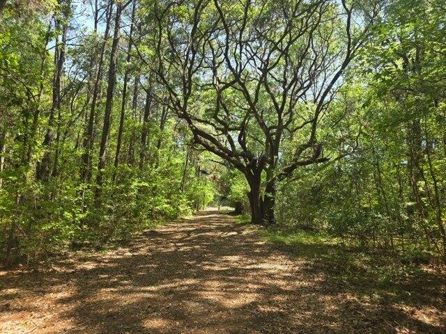 0 Bears Bluff Wadmalaw Island SC 29487