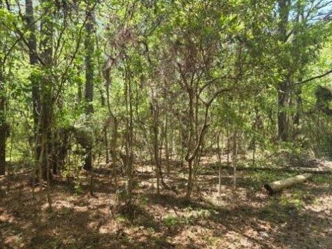 0 Bears Bluff Wadmalaw Island SC 29487