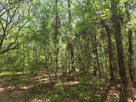 0 Bears Bluff Wadmalaw Island SC 29487