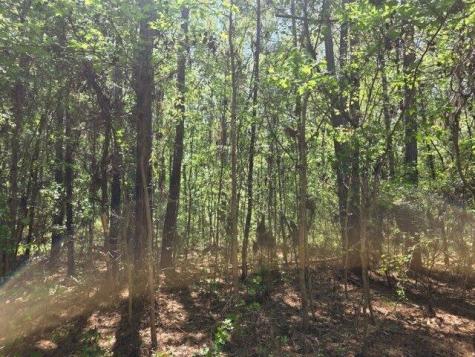 0 Bears Bluff Wadmalaw Island SC 29487