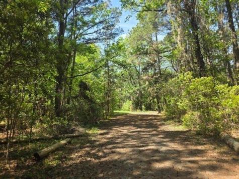 0 Bears Bluff Wadmalaw Island SC 29487