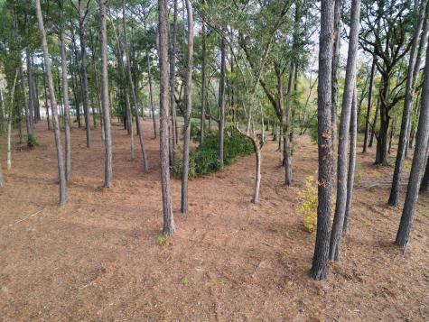 565 Robert Smalls Parkway Beaufort SC 29906