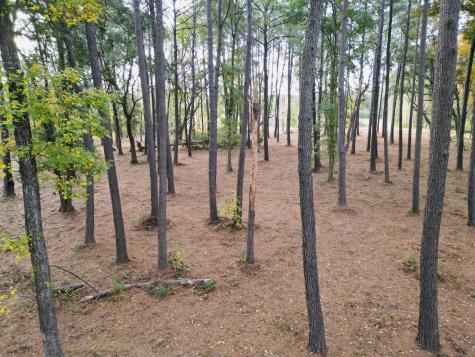 565 Robert Smalls Parkway Beaufort SC 29906