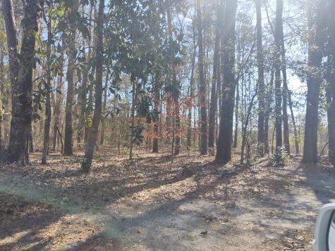 10839 Dorchester Road Summerville SC 29485