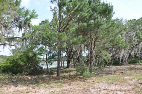 00 Ranch Road Wadmalaw Island SC 29487