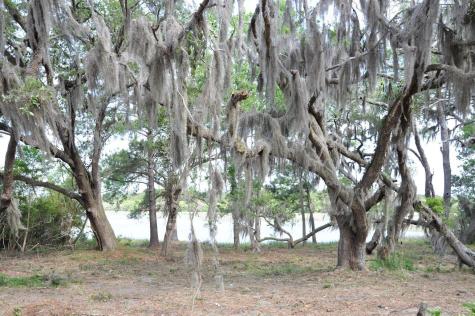00 Ranch Road Wadmalaw Island SC 29487