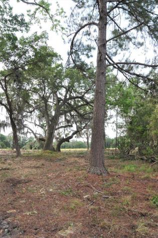 00 Ranch Road Wadmalaw Island SC 29487