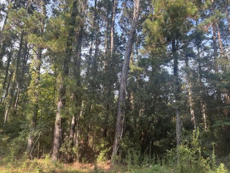 29 Harbor Breeze Drive Saint Helena Island SC 29920